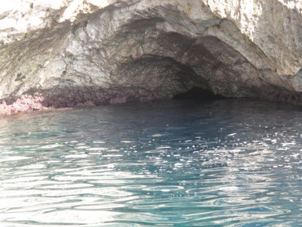 6 smleuca (12)