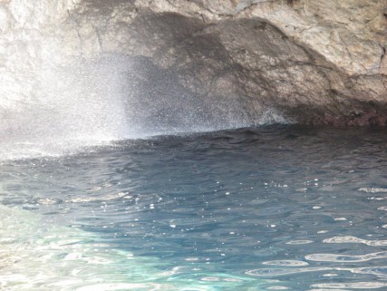 6 smleuca (13)
