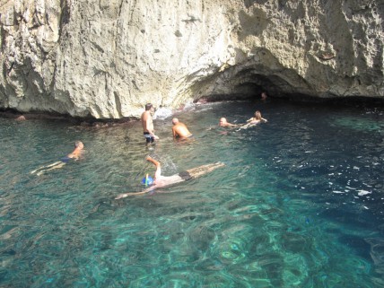 6 smleuca (16)