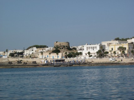 6 smleuca (4)