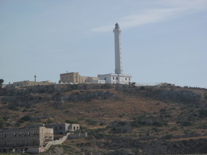 6 smleuca (6)