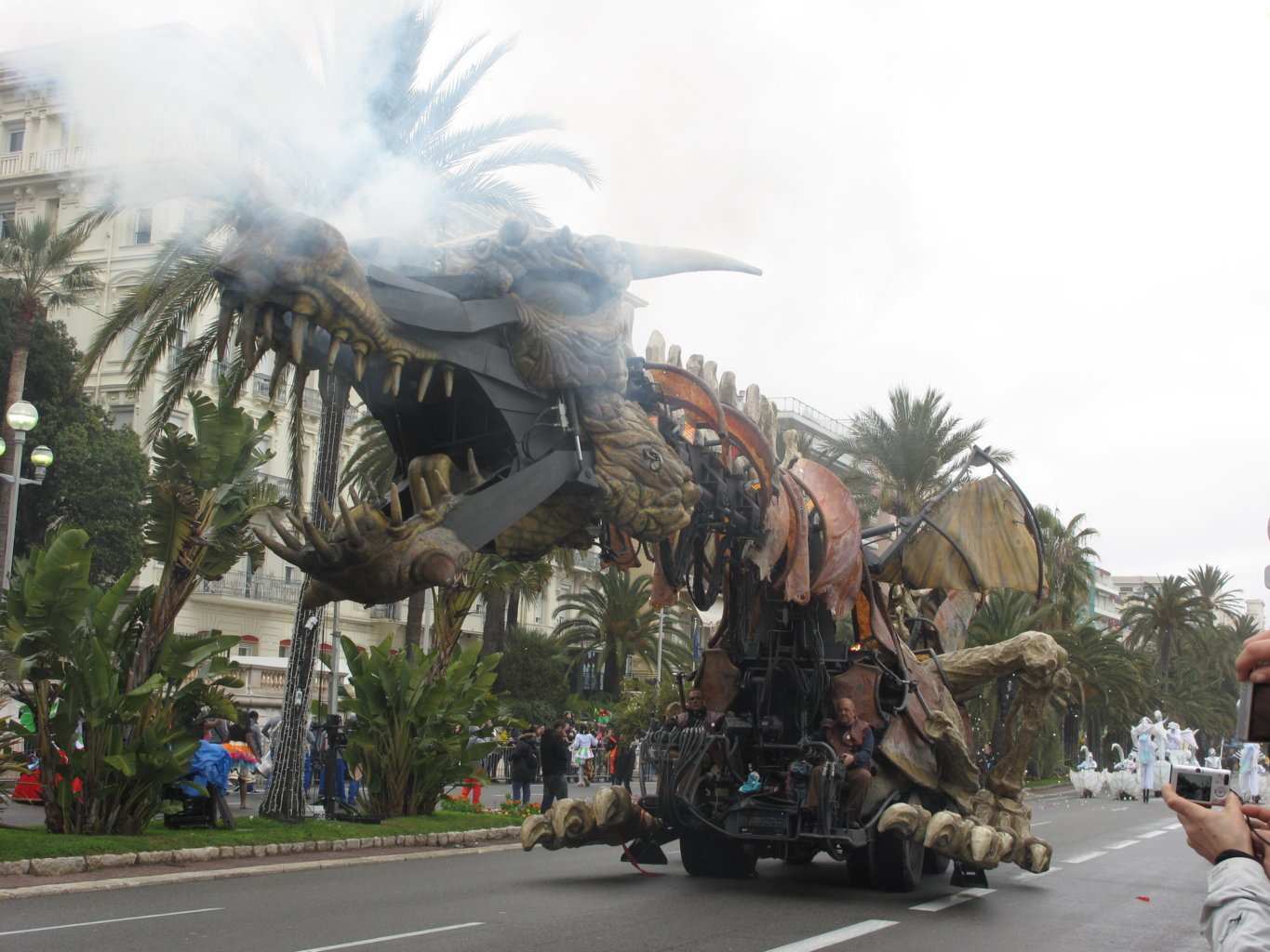 Carnevale Nizza 2014 (12)