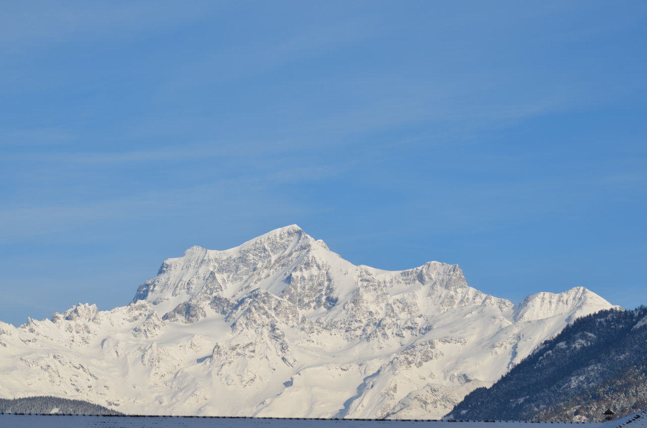 Fiera Aosta 31-01-2015 (195)