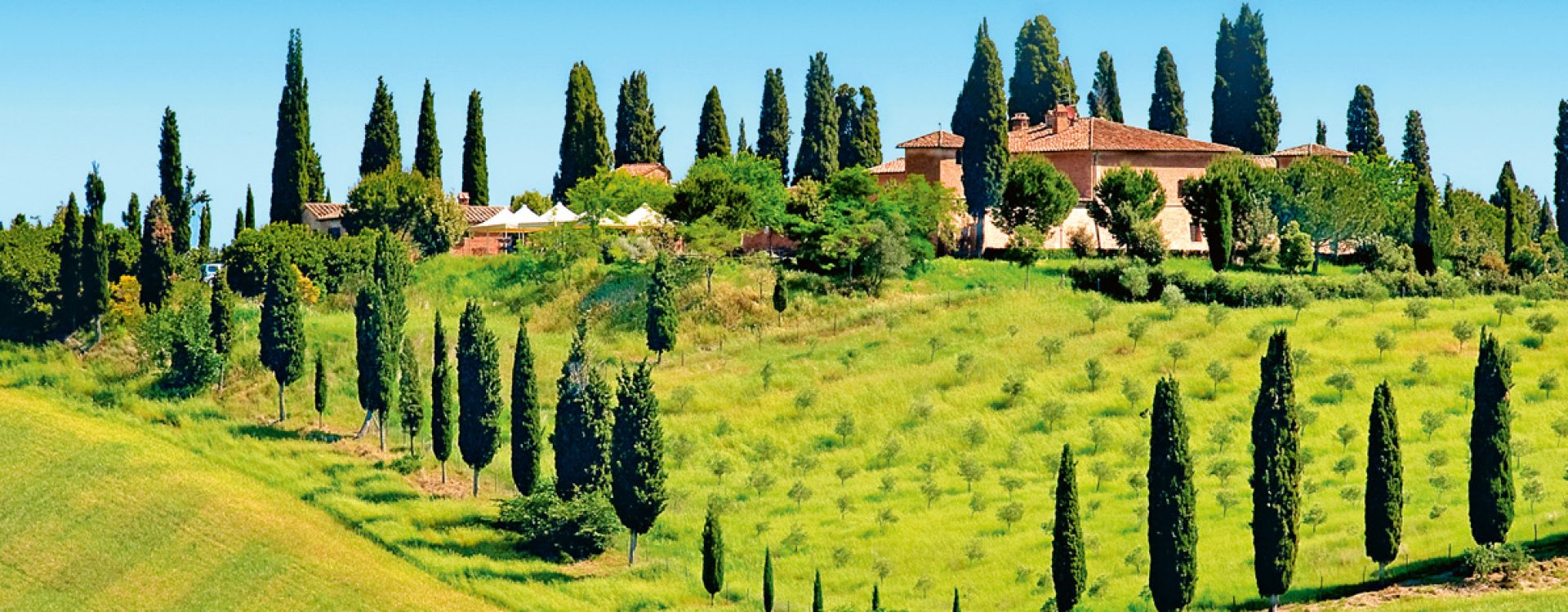 Meraviglie delle meraviglie