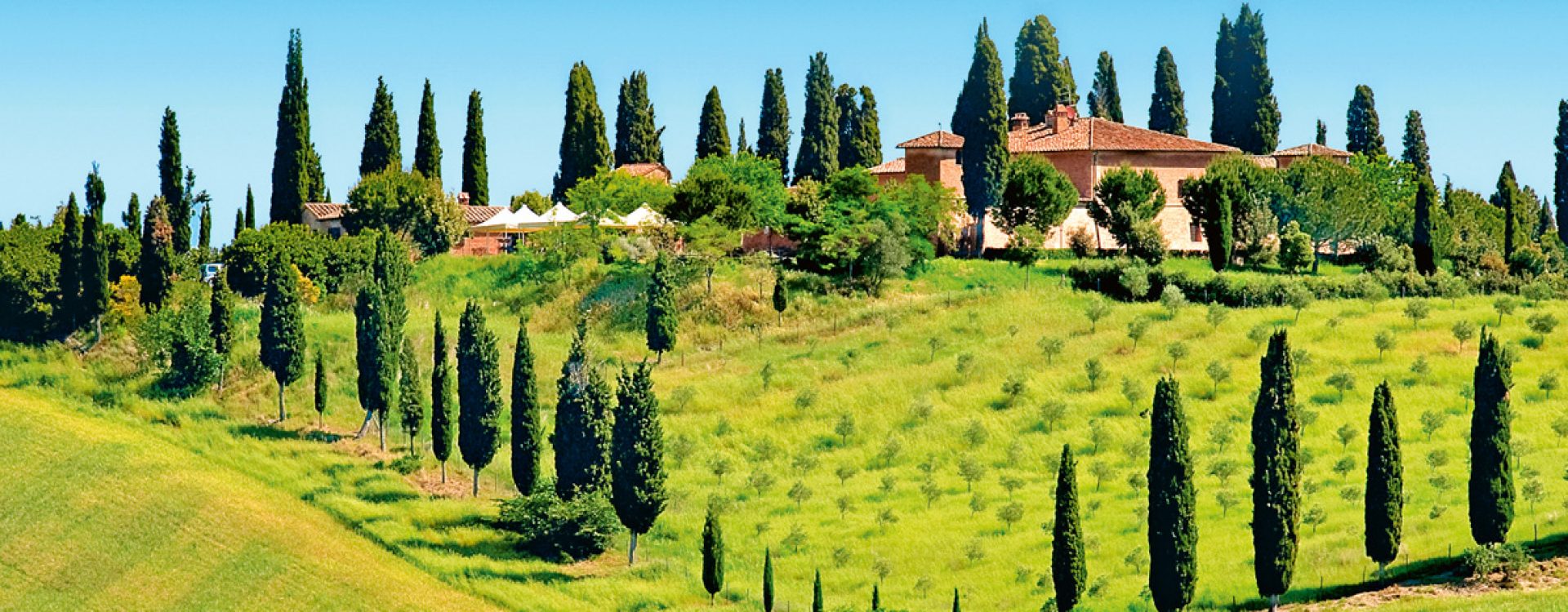 Quelli del pullman di Marco